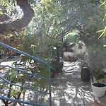 Cielito Lindo Montpellier