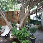 Cielito Lindo Montpellier