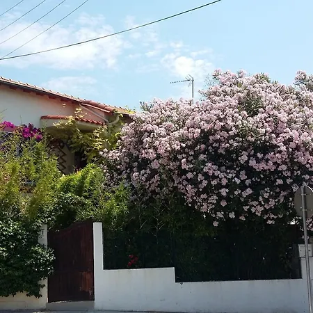 Lägenhet Cielito Lindo *