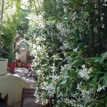 Cielito Lindo Montpellier