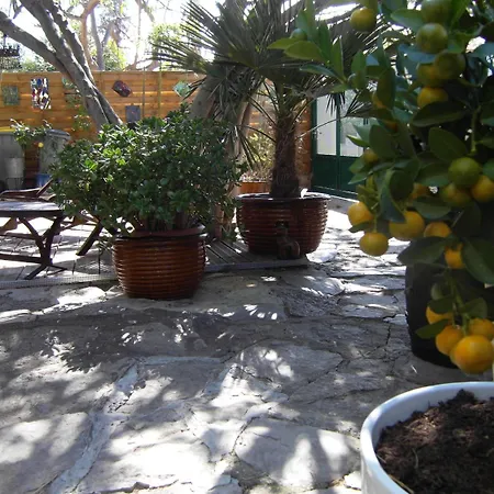 Lägenhet Cielito Lindo *