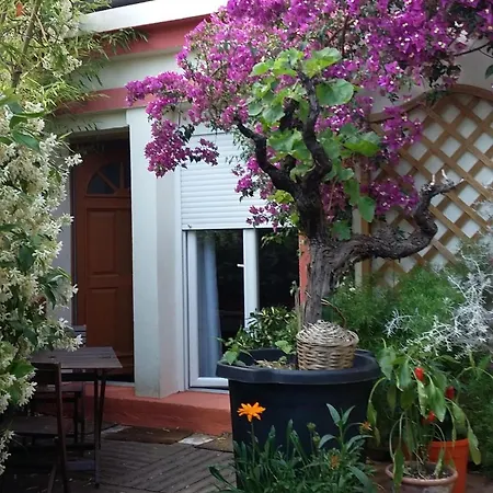 Cielito Lindo * מונפלייה