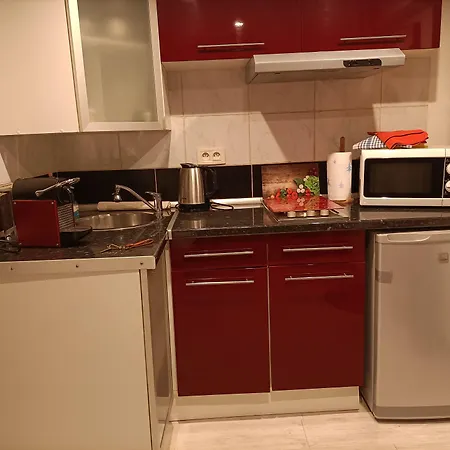 西耶里托林多酒店 公寓 *