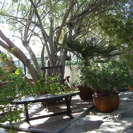 Cielito Lindo * Montpellier