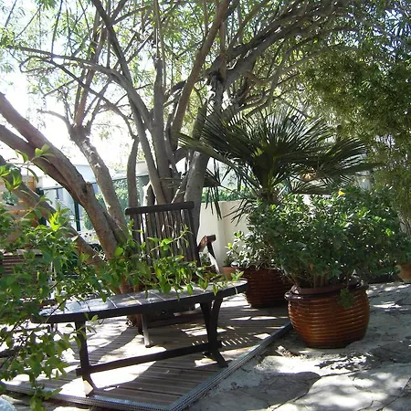 Cielito Lindo * Montpellier