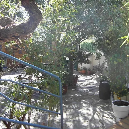 Cielito Lindo מונפלייה