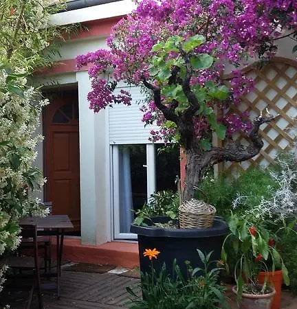 Cielito Lindo * Montpellier