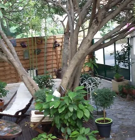 Cielito Lindo Montpellier