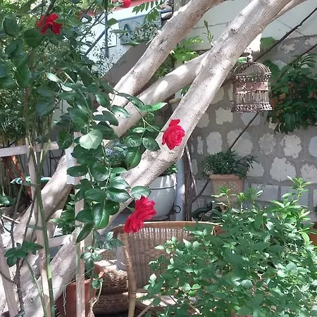 דירה Cielito Lindo *