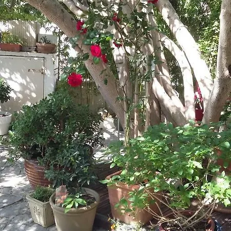 דירה Cielito Lindo מונפלייה