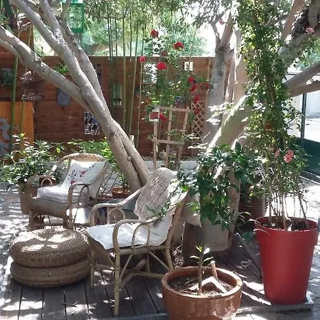 Cielito Lindo מונפלייה