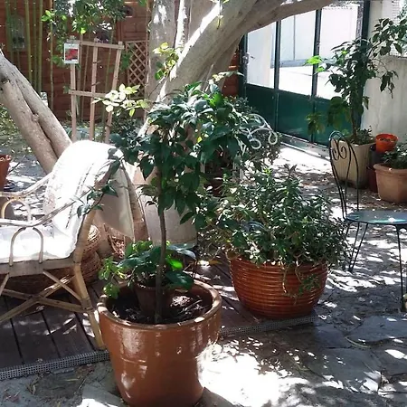 西耶里托林多酒店 *